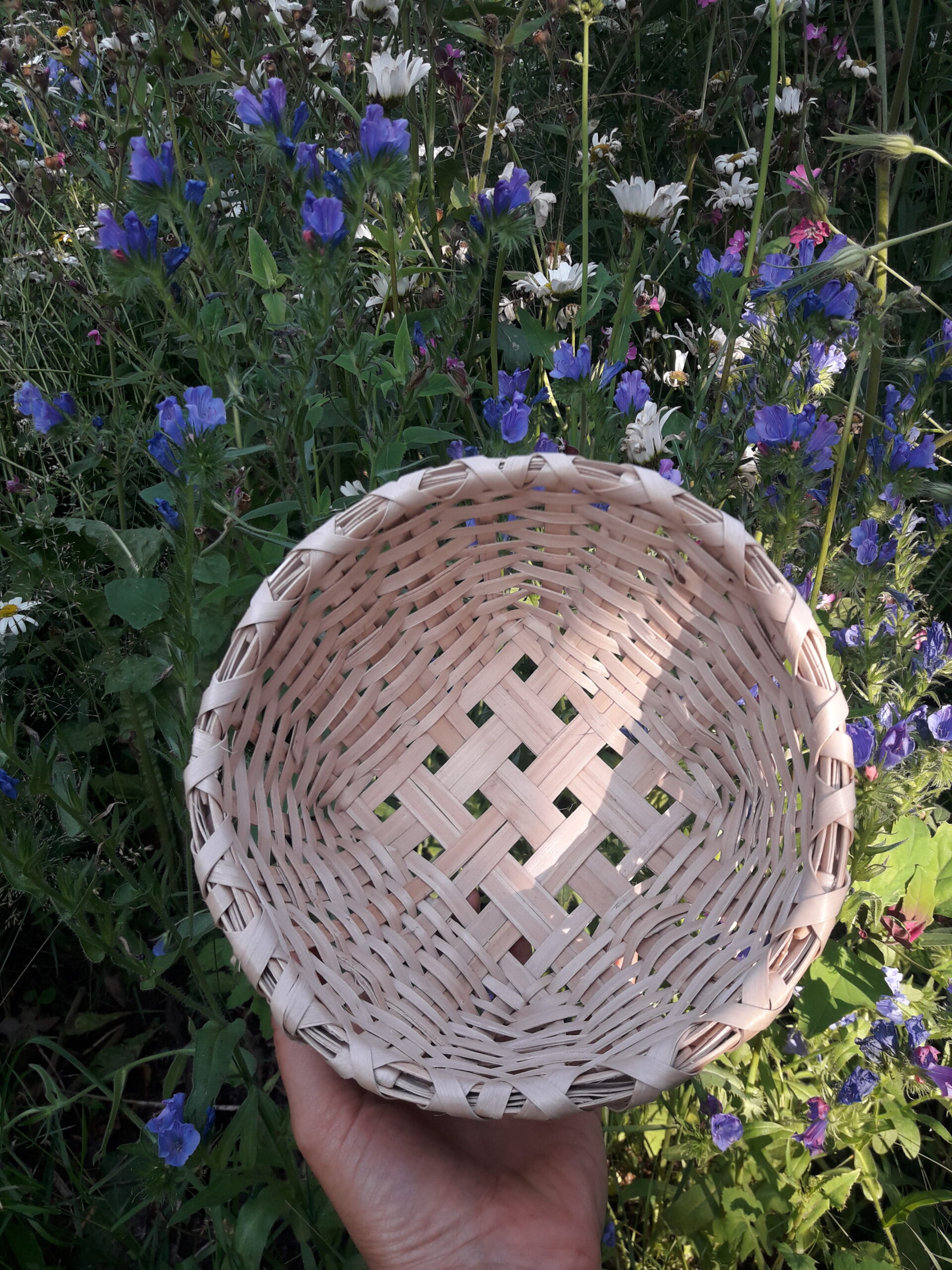 Kurveflet i hasselspån